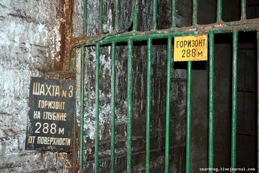 Околоствольный двор